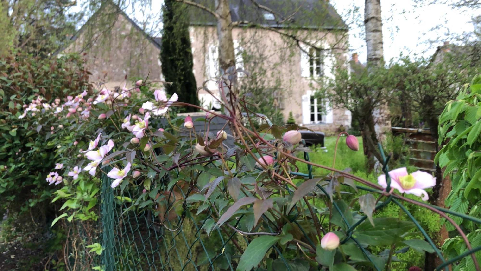 La Thibautiere Bed and Breakfast Blaison Buitenkant foto