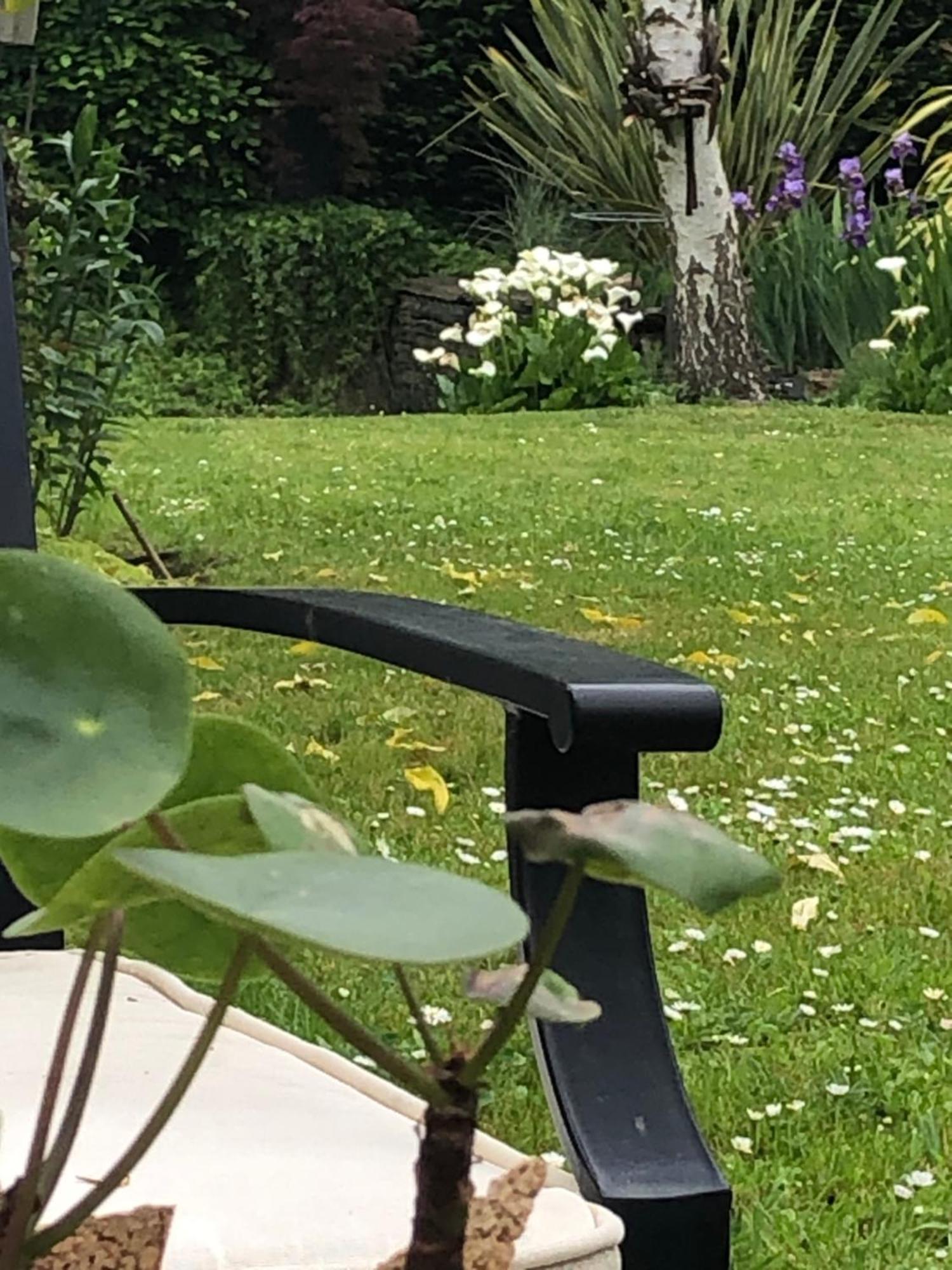 La Thibautiere Bed and Breakfast Blaison Buitenkant foto