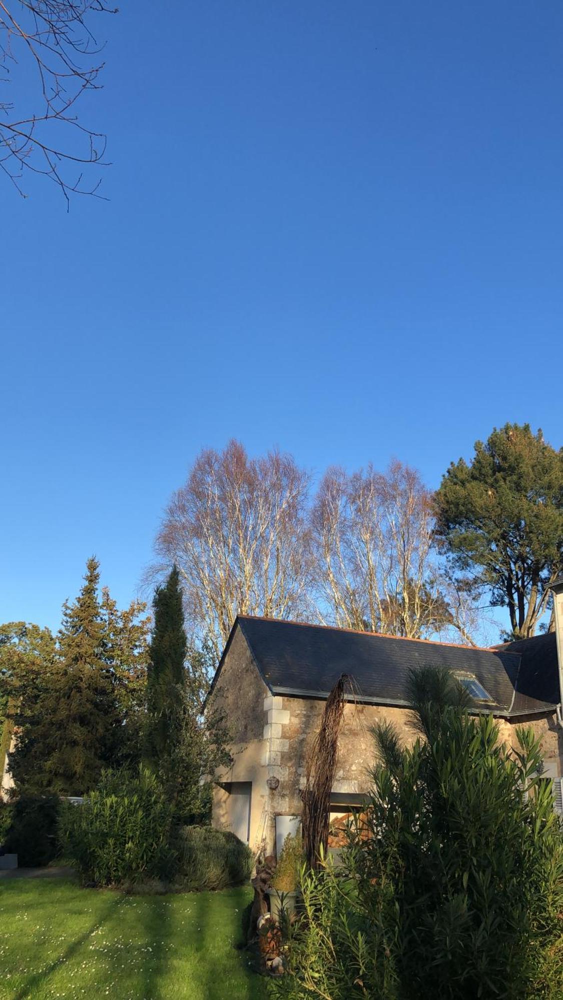 La Thibautiere Bed and Breakfast Blaison Buitenkant foto